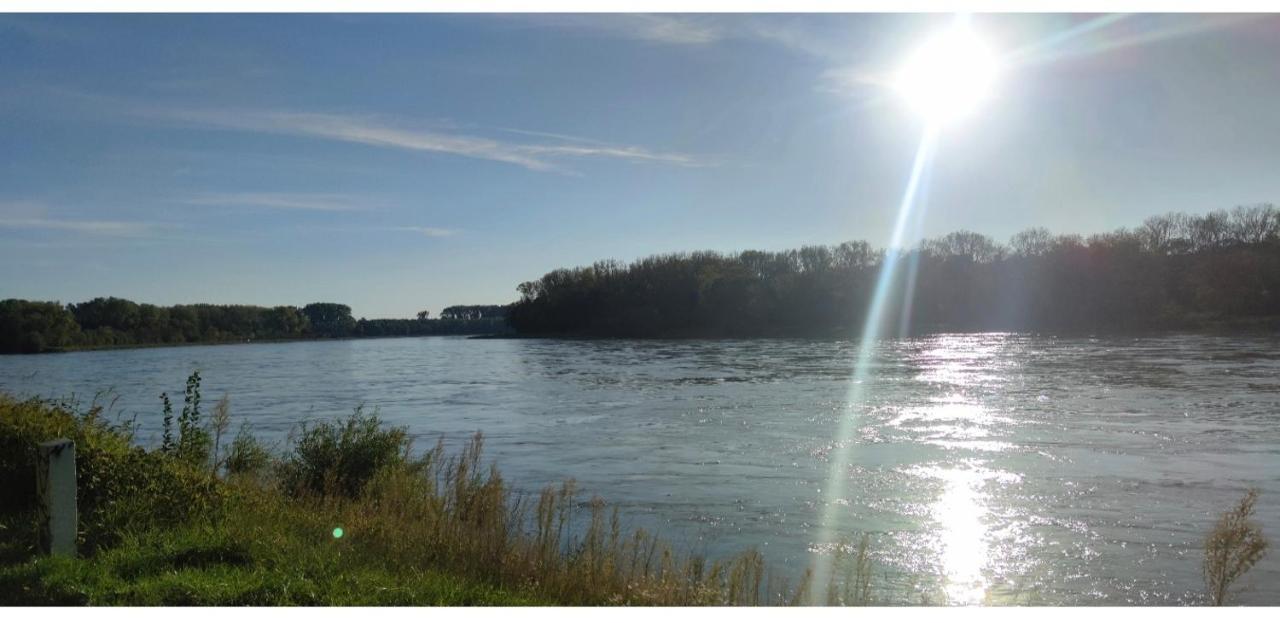 Urlaub Am Rhein Speyer Hockenheim Apartment Altlussheim Екстериор снимка