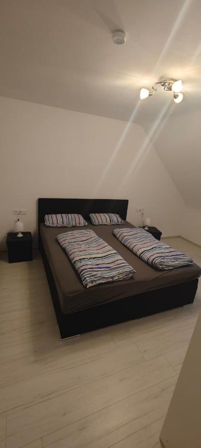 Urlaub Am Rhein Speyer Hockenheim Apartment Altlussheim Екстериор снимка