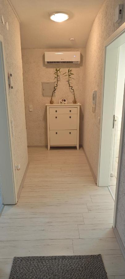 Urlaub Am Rhein Speyer Hockenheim Apartment Altlussheim Екстериор снимка