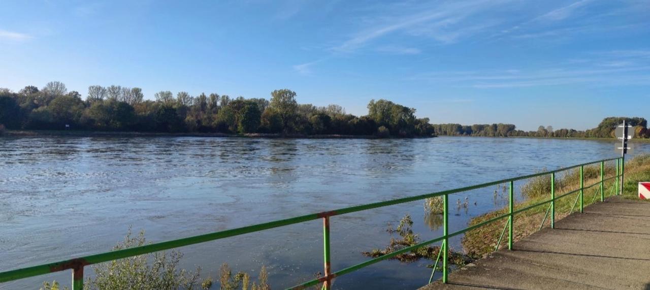 Urlaub Am Rhein Speyer Hockenheim Apartment Altlussheim Екстериор снимка