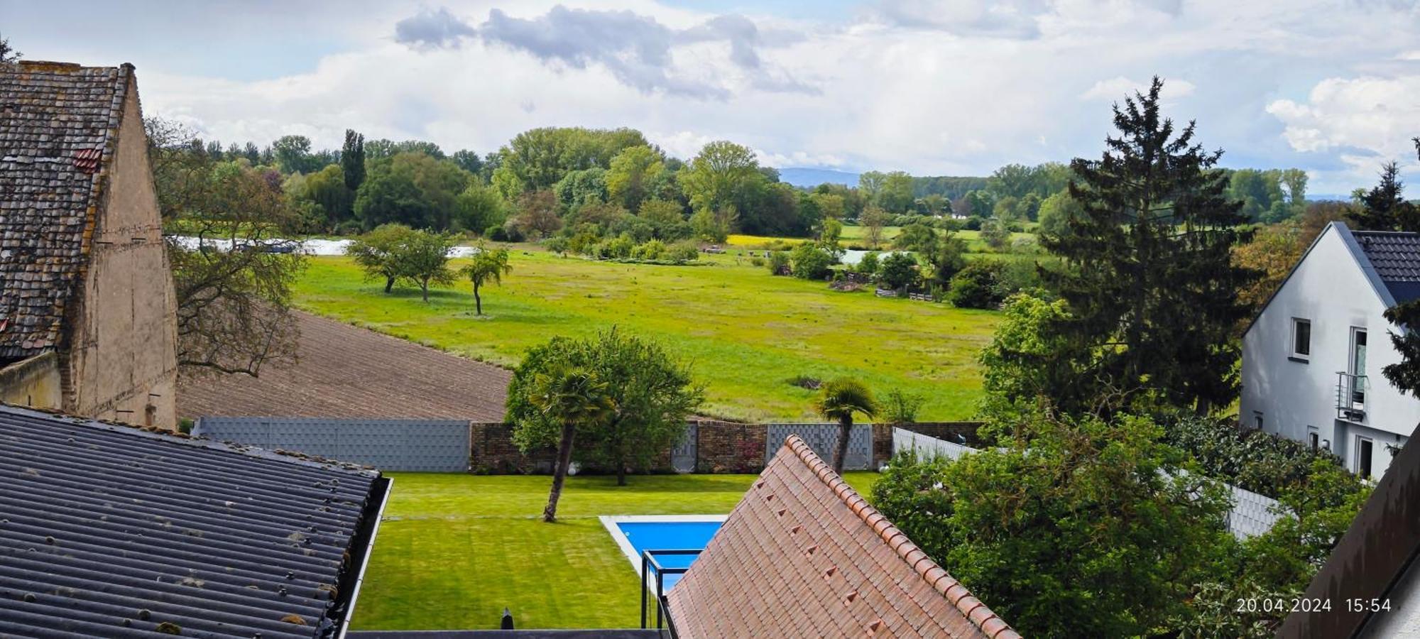 Urlaub Am Rhein Speyer Hockenheim Apartment Altlussheim Екстериор снимка